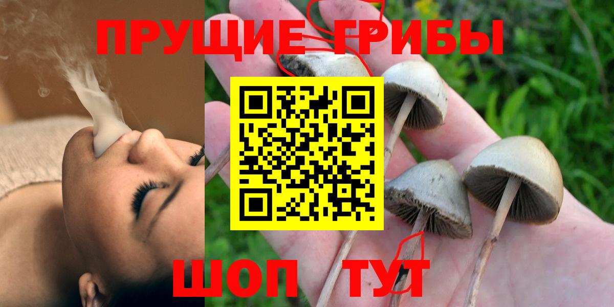Псилоцибиновые грибы Psilocybine cubensis Ангарск